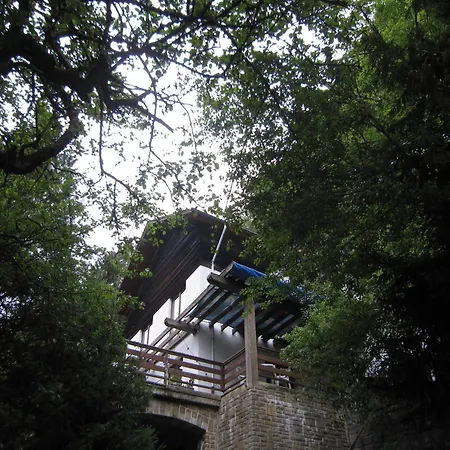 Amazing In With Garden Chalet *